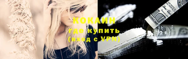 ешки Аркадак